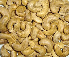 Cashewnuss indust.jpg