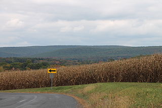 <span class="mw-page-title-main">Roaring Creek Township, Pennsylvania</span> Township in Pennsylvania, United States