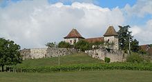 Zamek Rochefort w Sabaudii na wzgórzu