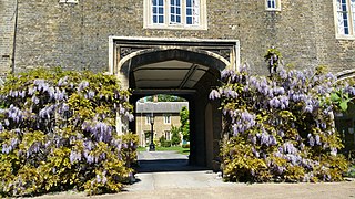 Charterhouse wisteria.jpg