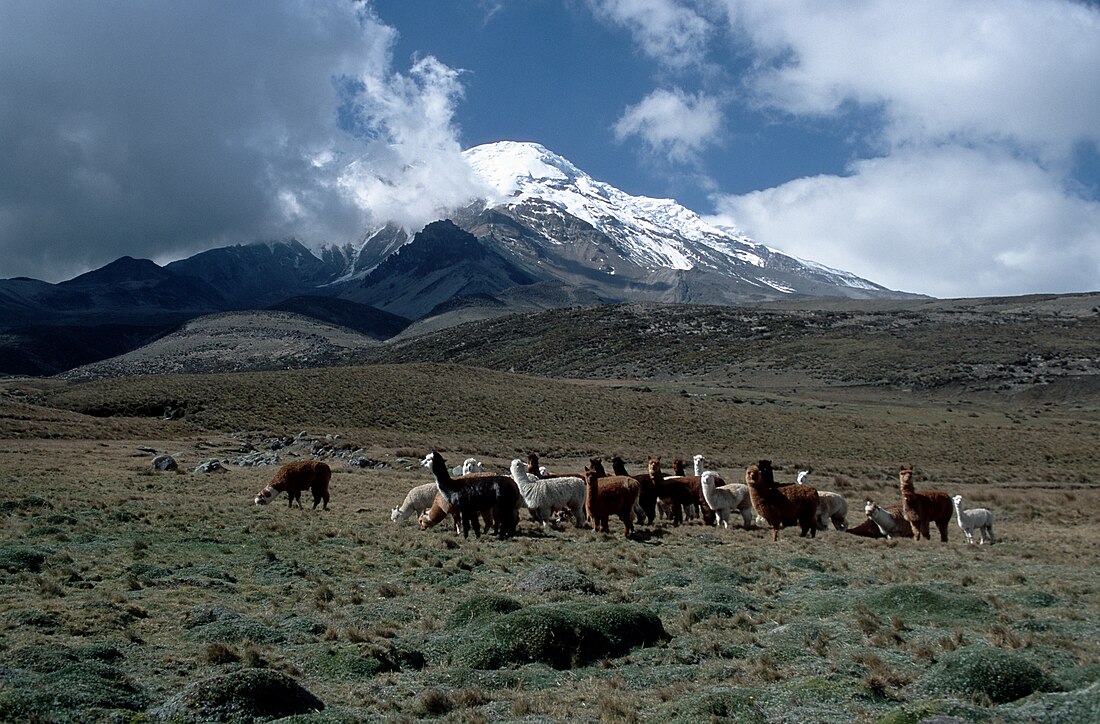 File:Chimborazo2004.jpg