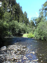 řeka poblíž Svarínu