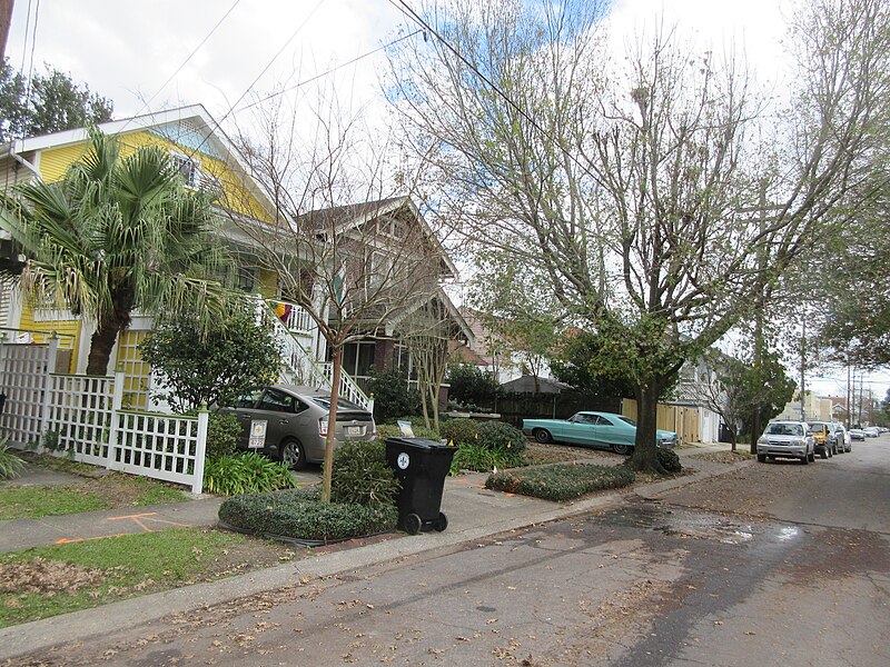 File:Cleveland Avenue Mid-City New Orleans January 2019 2.jpg