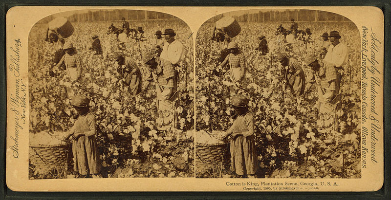 File:Cotton is king - A plantation scene, Georgia, by Strohmeyer & Wyman.jpg