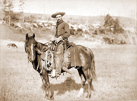 A cowboy, c. 1887, wearing shotgun-style chaps