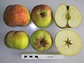 Cross section of Hibernal, National Fruit Collection (acc. 1958-061).jpg