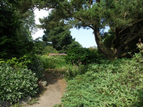 Jardín Botánico de Cruickshank