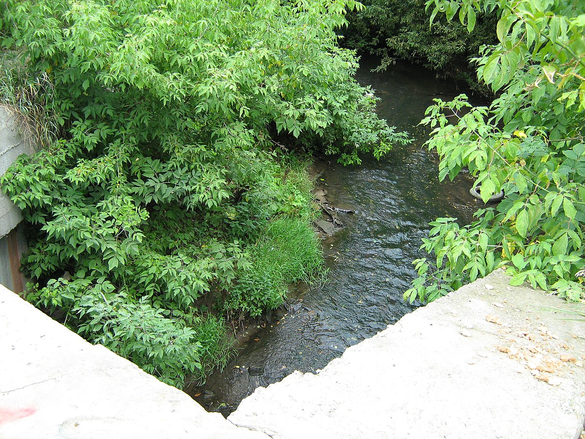 Река данилиха пермь