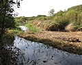 Thumbnail for Dawlish Warren National Nature Reserve