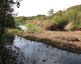 Dawlish Warren National Nature Reserve Nature reserve in Devon, England