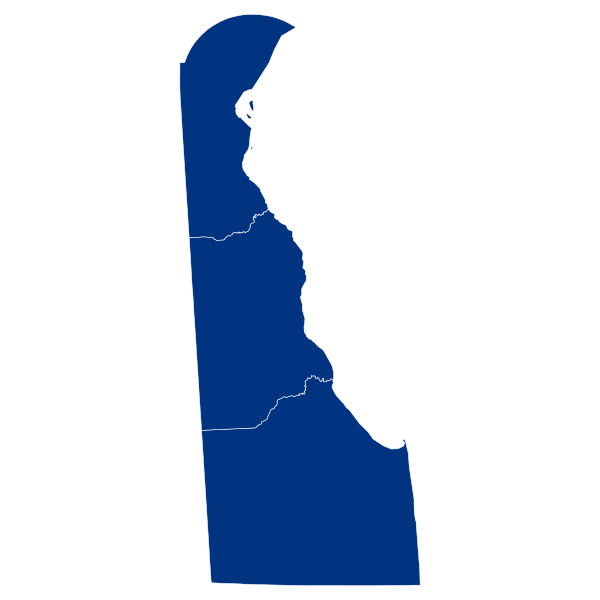 File:Delaware Governor Democratic primary, 2020.svg