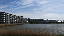 Centrale vijver en bebouwing in De Schooten