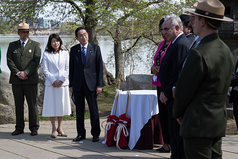 File:Diplomatic gift ceremony of Cherry Trees from Japan at the Tidal Basin, Washington D.C., April 10, 2024 - 23.jpg