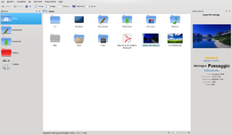 Schermata di Dolphin in KDE 4.2