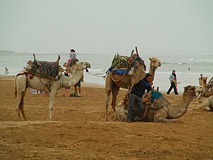 Essaouira: Toponymie, Géographie, Histoire