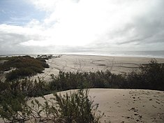 Dunes à San Clemente del Tuyú. La vue de ces dunes est pour le touriste le premier signal de son arrivée près des plages.