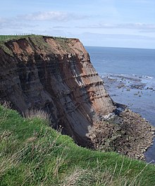 East Cliff vicino a Whitby (geograph 2351860) .jpg