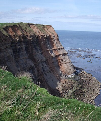 Whitby Mudstone