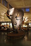 Göteborgs Naturhistoriska museum