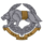 Emblem of the Ukrainian special forces.png