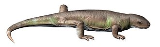 Life reconstruction of Eocasea martini Eocasea NT small.jpg