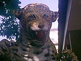 美洲豹雕像，Rio de Janeiros Zoological Garden