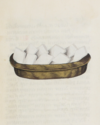 Estense alfa.l.09.28, f.007r (detalle) .png