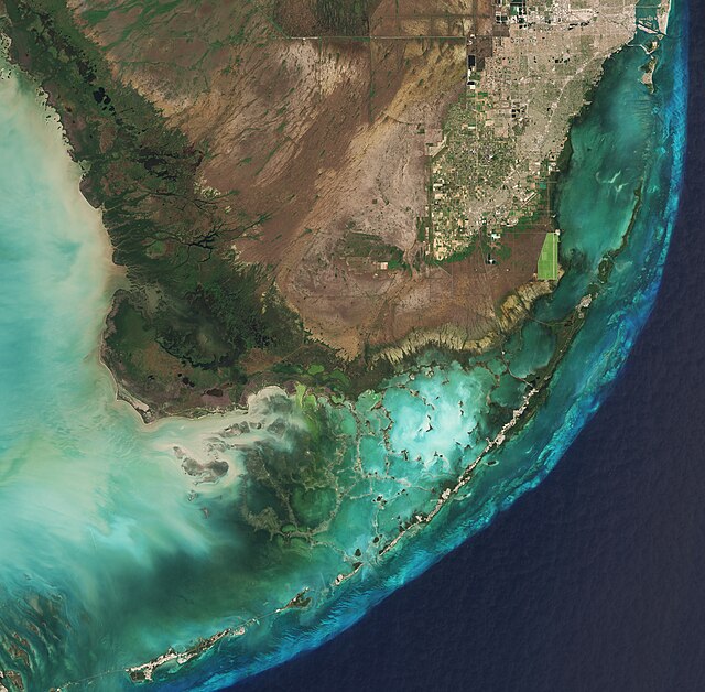 A satellite image of the Everglades, taken in March 2019