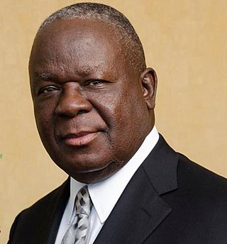 <span class="mw-page-title-main">Felix Mlusu</span> Malawian financial services executive (born 1951)