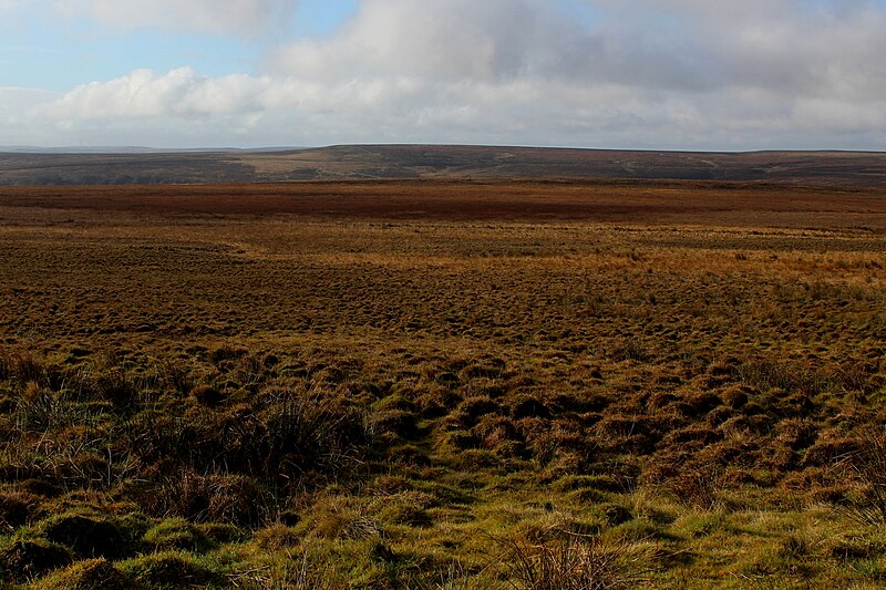 File:Fill Belly - geograph.org.uk - 5204682.jpg