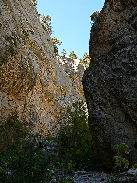 File:Fletcher Canyon 1.jpg