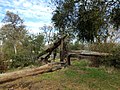 Folsom Lake 3629 - panoramio.jpg