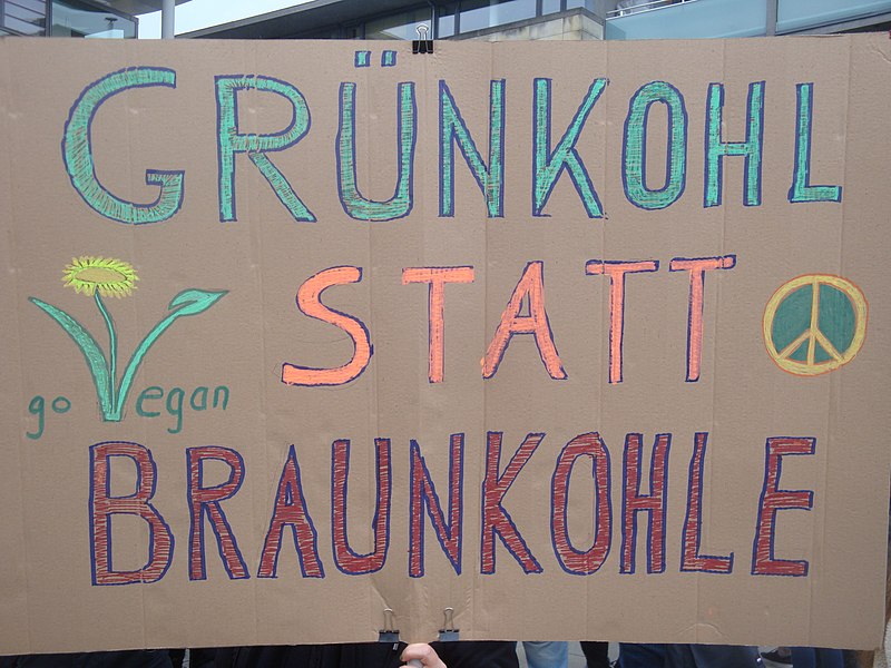 File:Fridays for Future Aschaffenburg 15.03.2019 08.jpg