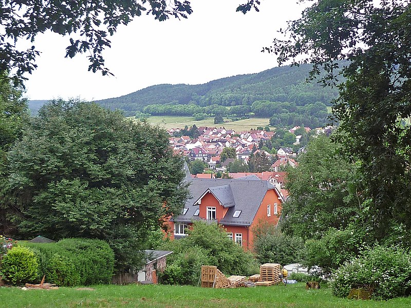 File:Friedrichroda-Blick.jpg