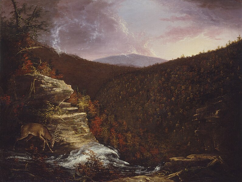 File:From the Top of Kaaterskill Falls.jpg