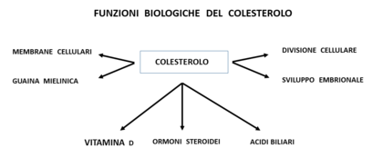 Novità su steroidi online siti sicuri