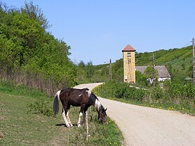 Gorki (Gorzów)