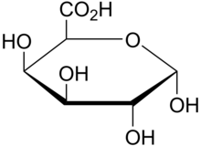 Galacturonic acid: Major component of pectin Galacturonic acid.png