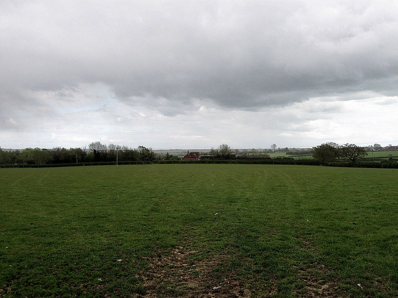 File:Gate Field - geograph.org.uk - 1847960.jpg