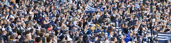 Geelong's supporters came out in force in the 2009 Grand Final against St Kilda