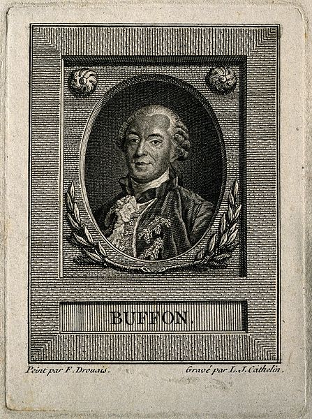 File:Georges Louis Leclerc, Comte de Buffon. Line engraving by L. Wellcome V0000879.jpg