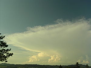 Cumulonimbus incus