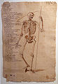 Giovan battista passeri, lezioni di anatomia, 1674, 01.JPG