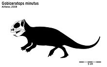 Skeletal diagram featuring the known elements of Gobiceratops Gobi skelleton.jpg