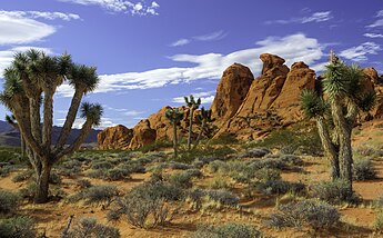 The designation of Gold Butte National Monument in 2016 established a wildlife corridor linking Lake Mead National Recreation Area and Grand Canyon-Parashant National Monument. Gold Butte National Monument 9.jpg