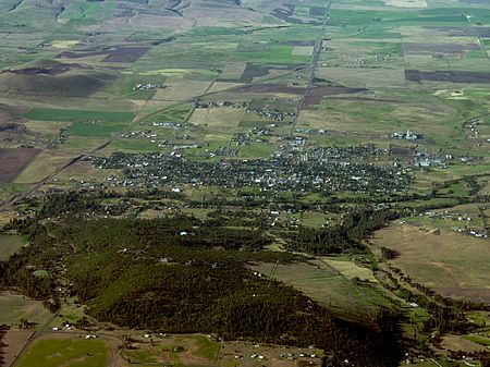 Goldendale WA aerial.jpg