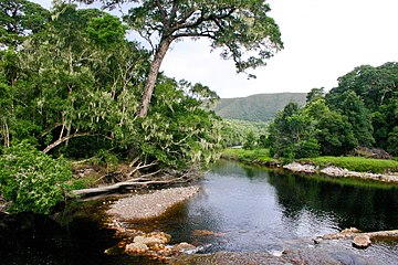 The Groot River in Natures Valley theekleurig met plantaardige tannines