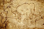 Woolly mammoth cave art from Grotte de Rouff, depicting it alongside extant Alpine ibexes.
