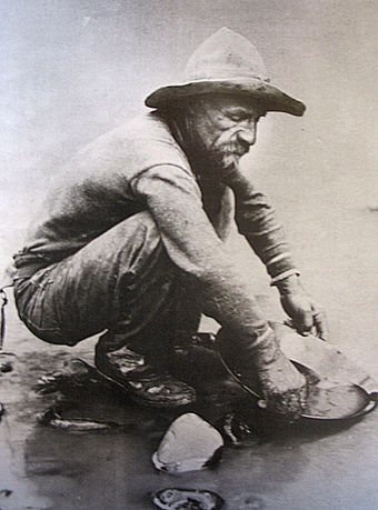 Photographie prise en 1850 d'un forty-niner se servant d'une batée sur les rives de l'American River.