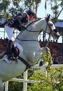 Guy Williams riding Richi Rich at Hickstead Jumping Derby 2011 Guy Williams close up.jpg